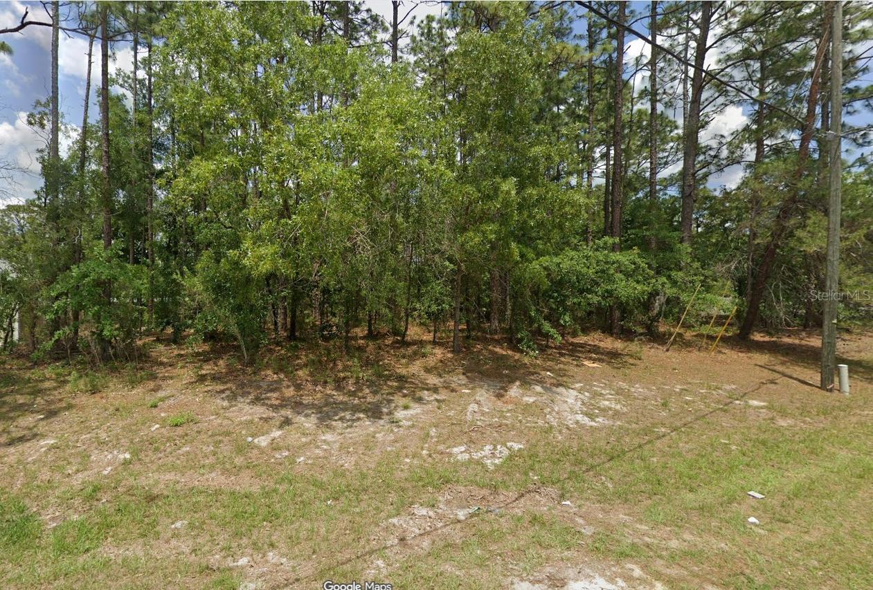TBD SW 135th Loop, Ocala, FL 34473