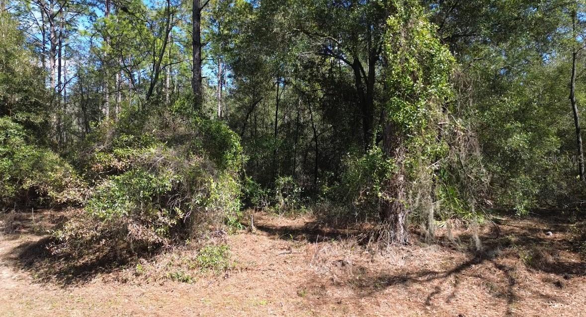 SW 129 Ter., Ocala, FL 34481