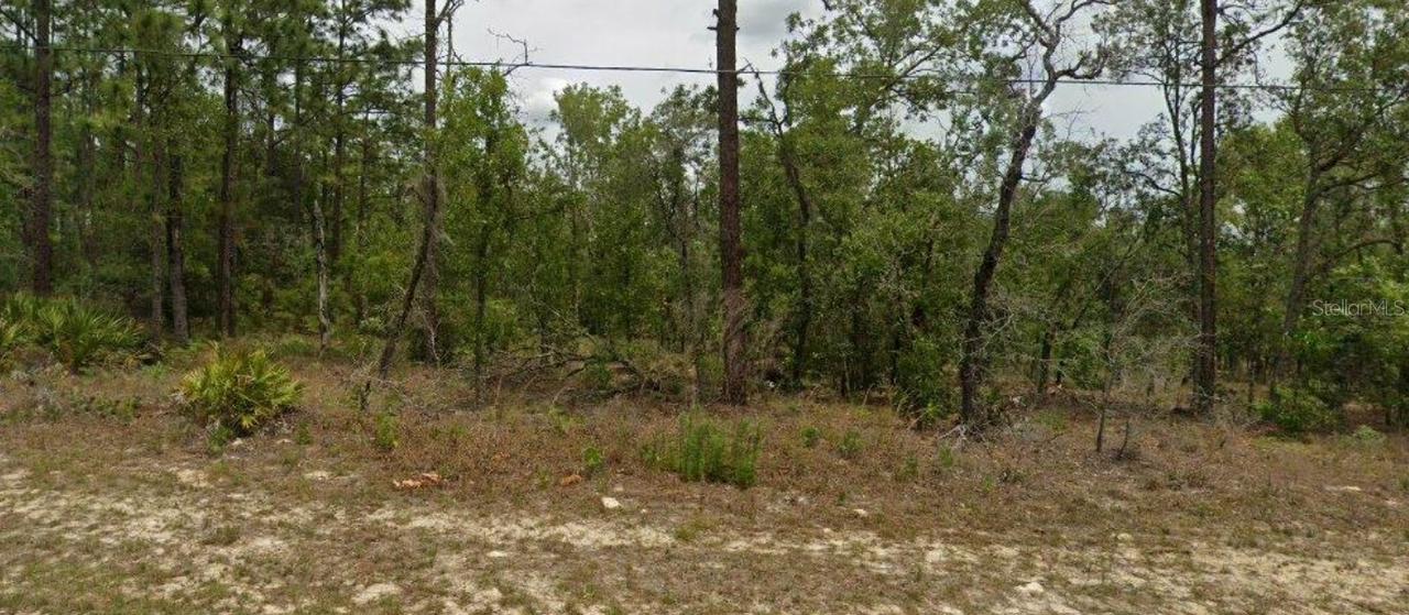 6627 N Bedstrow Blvd., Dunnellon, FL 34434
