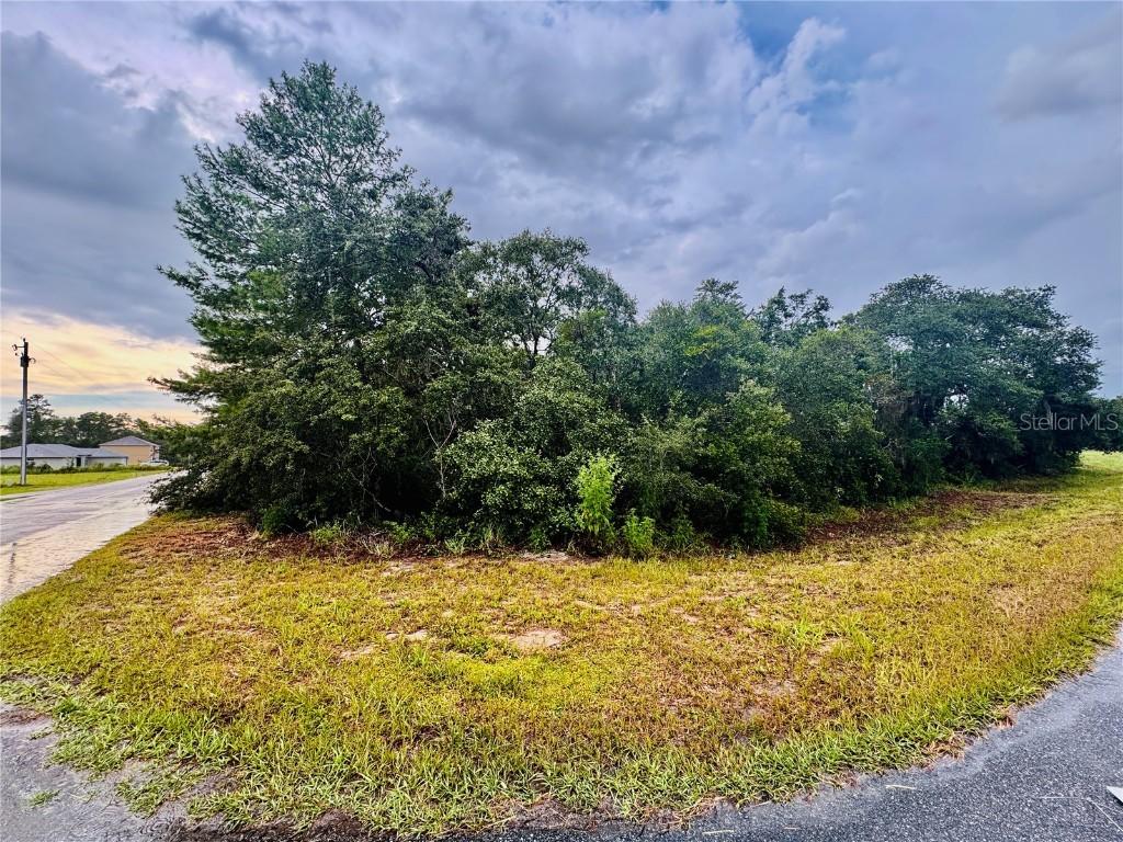 TBD SW 111th Pl Pl., Ocala, FL 34476
