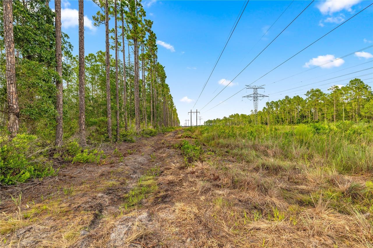 TBD NE 125th Ave, Fort Mc Coy, FL 32134