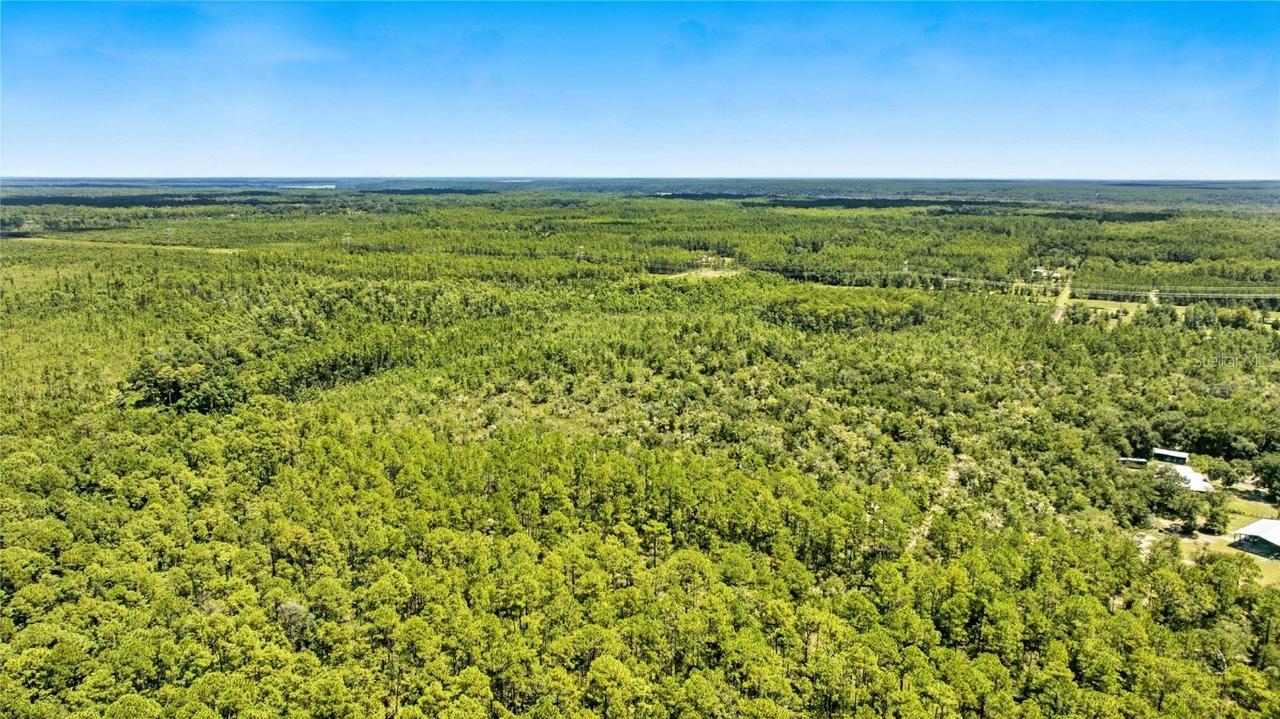 TBD NE 125th Ave, Fort Mc Coy, FL 32134