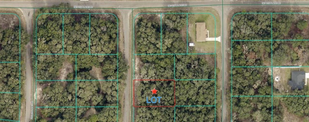 TBD Fisher Lane Ct., Ocklawaha, FL 32179