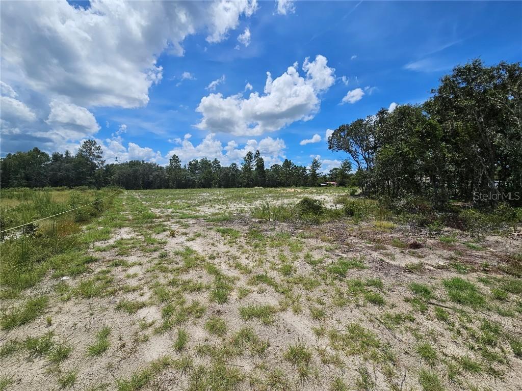 10290 NE 58th Ln., Bronson, FL 32621