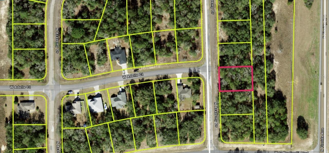 11034 N Academy Dr., Citrus Springs, FL 34434