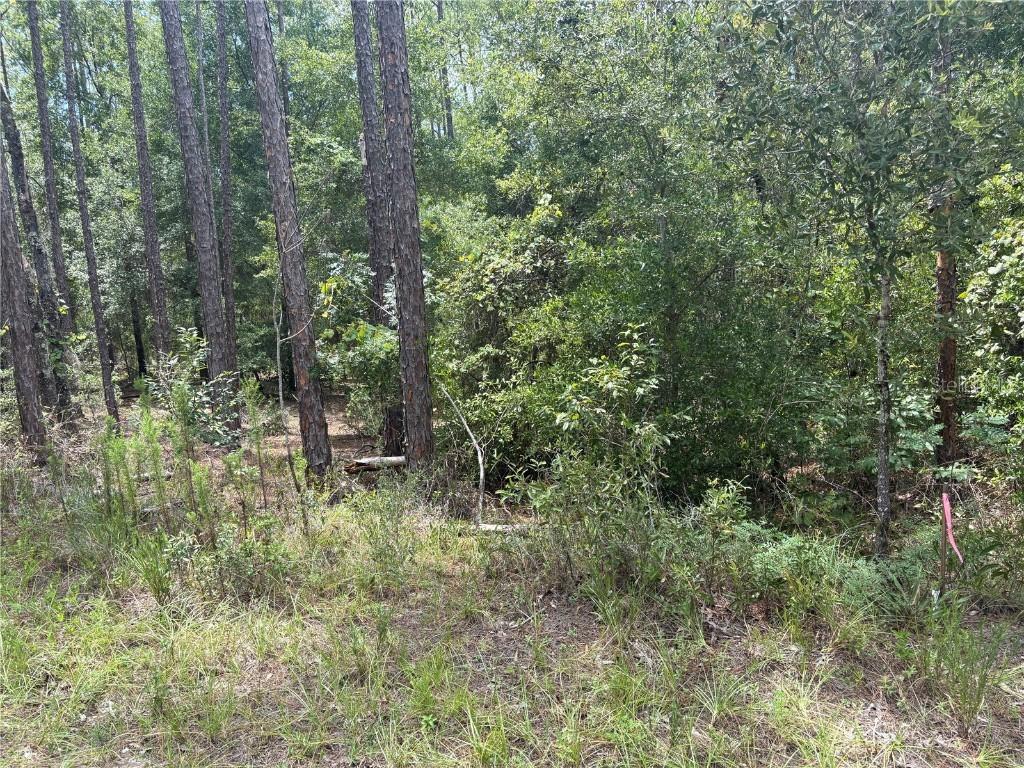 00 SW 87th Loop, Dunnellon, FL 34431