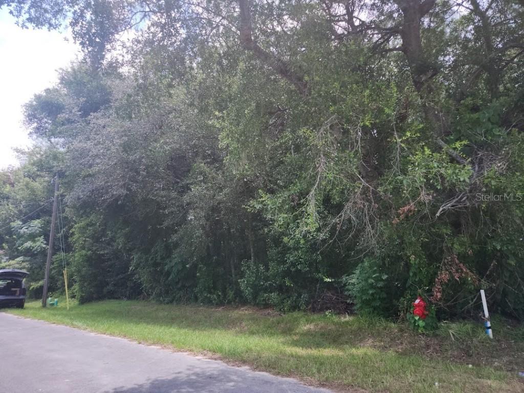 Lot 6 SE Bahia Ct. Ter., Ocala, FL 34472