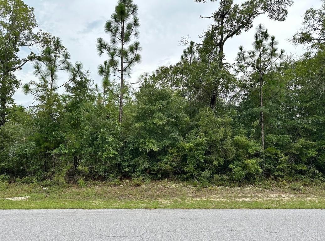 Westbrook Dr., Chipley, FL 32428