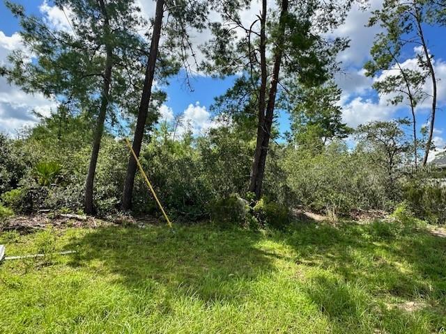TBD SW 29th Terrace Rd., Ocala, FL 34473