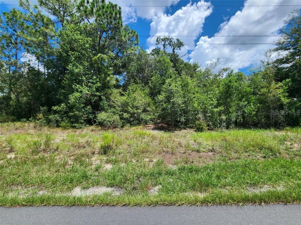 TBD SW Soundview Dr., Dunnellon, FL 34431