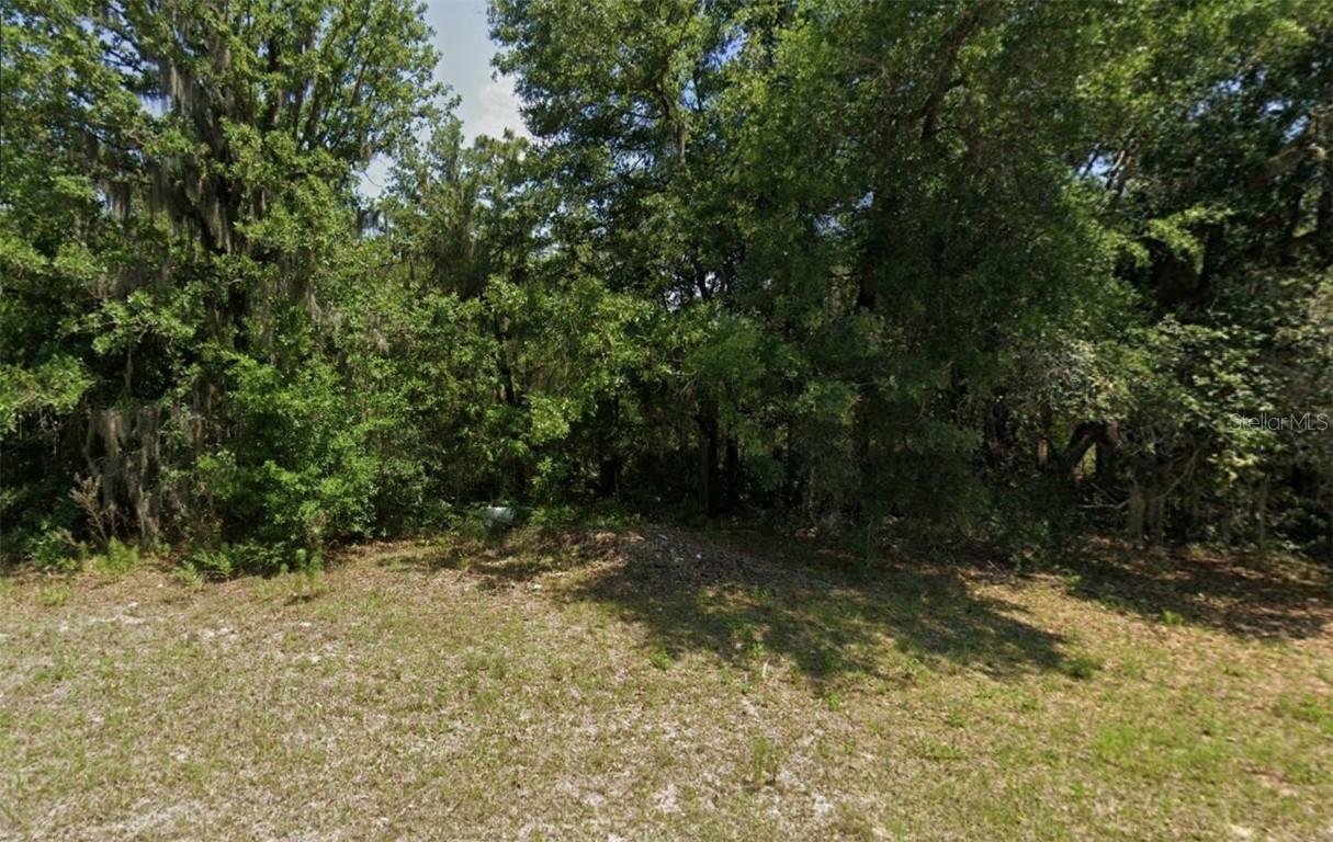00 SW 88th Ct., Ocala, FL 34473