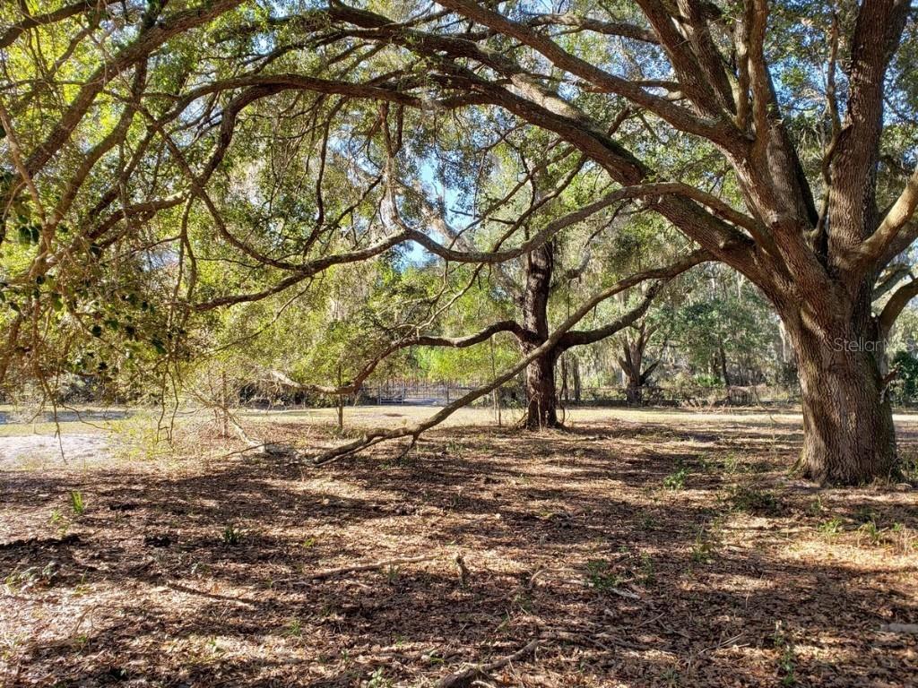13.12ac NE Hwy 315, Fort Mc Coy, FL 32134