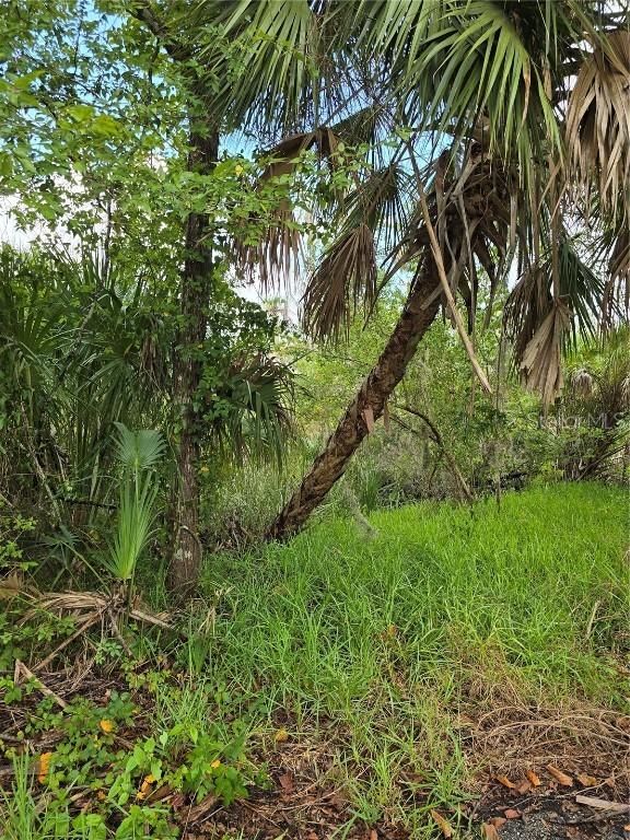 10894 W Larchwood St., Homosassa, FL 34448