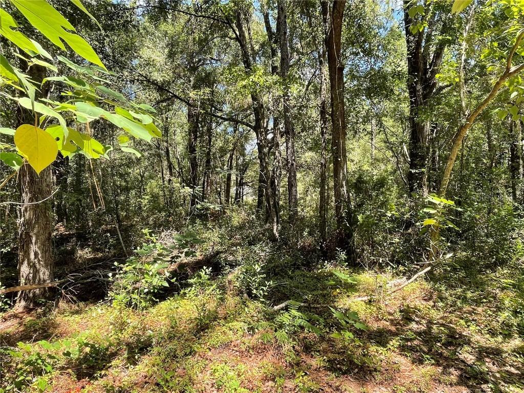 Lot 30 SW 31st Pl., Ocala, FL 34481