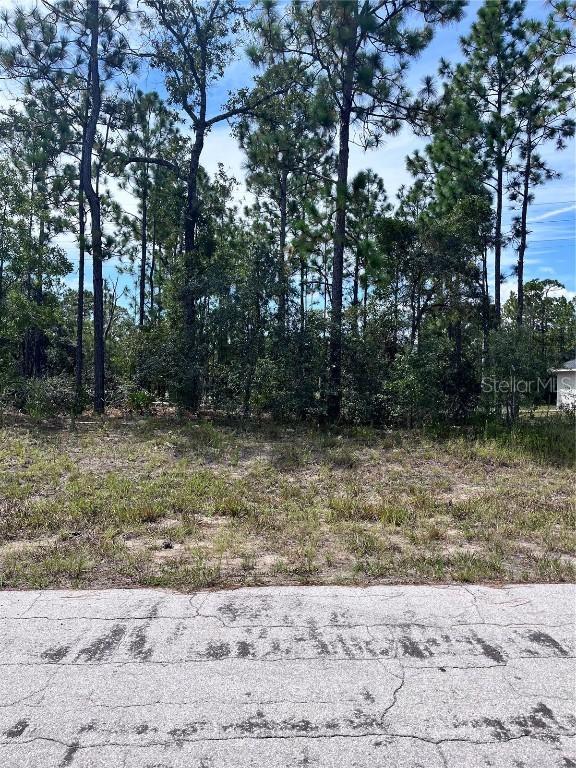 2910 W Rutland Dr., Citrus Springs, FL 34433