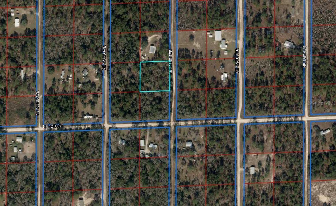 TBD NE 123 Ter., Williston, FL 32696