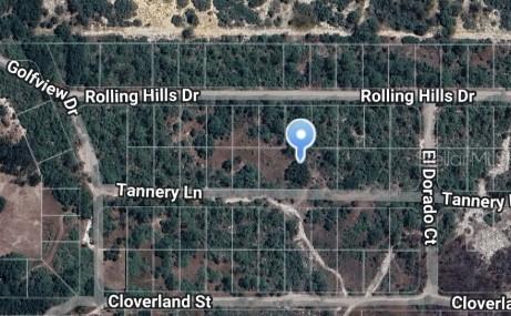 243 Rolling Hills Dr. #LT2, Lake Placid, FL 33852