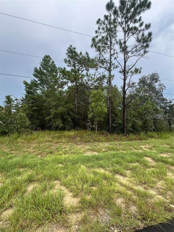 143rd SW Lane Road, Ocala, FL 34473