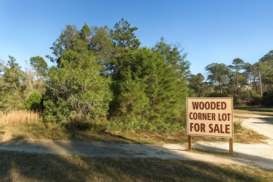 00 NE 235 Pl., Fort Mc Coy, FL 32134