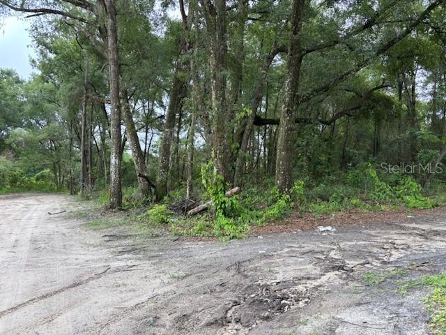 0000 SE 43rd Ter., Summerfield, FL 34491
