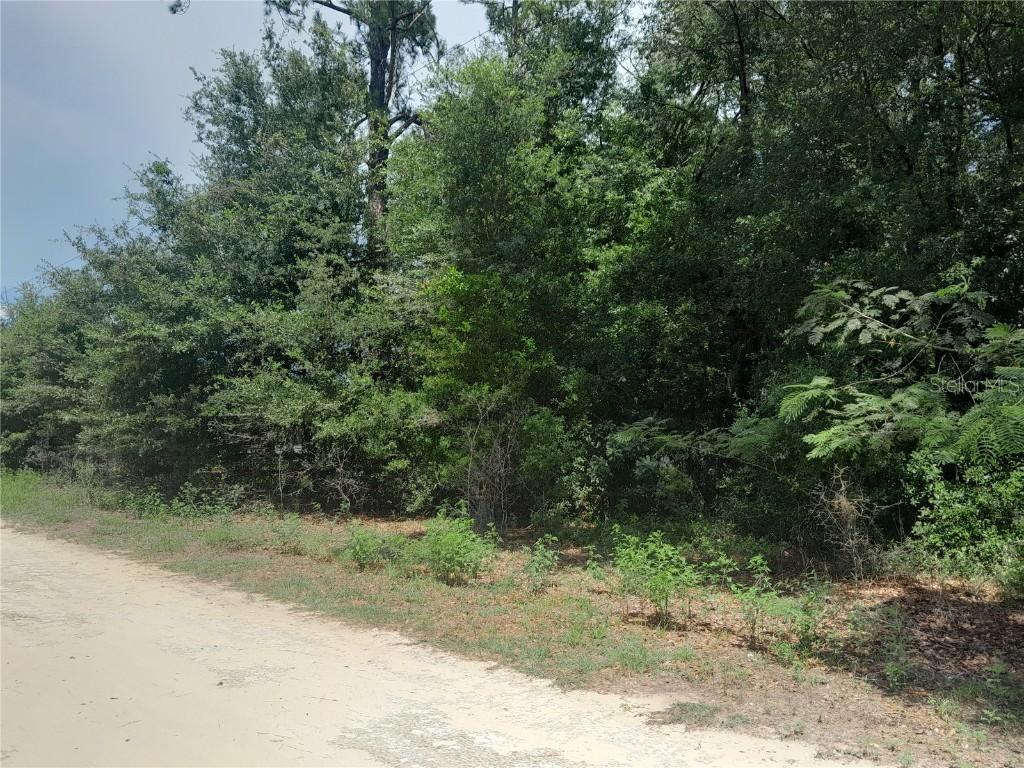 SE 108th Ter., Morriston, FL 32668