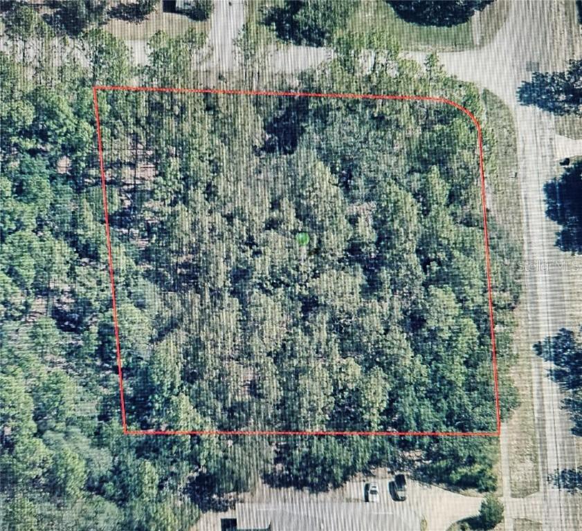 4774 N Butternut Ave., Beverly Hills, FL 34465