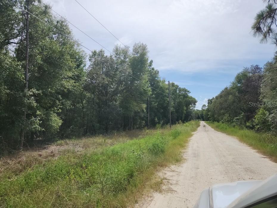 LOT 12 SW 96th Ln., Dunnellon, FL 34432