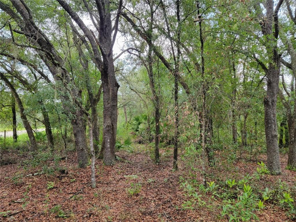 NE 110th Ave., Bronson, FL 32621