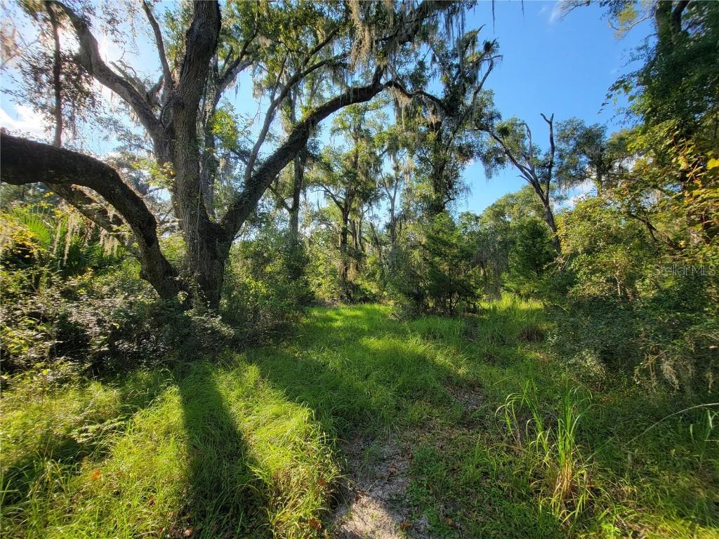 565 NE 833rd St., Old Town, FL 32680
