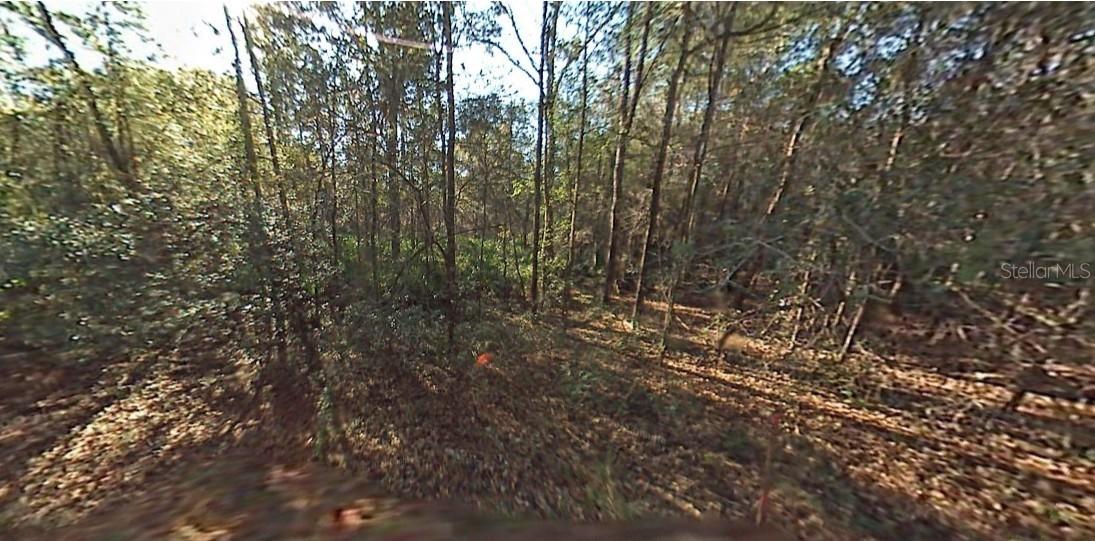 SW 29th St., Ocala, FL 34481