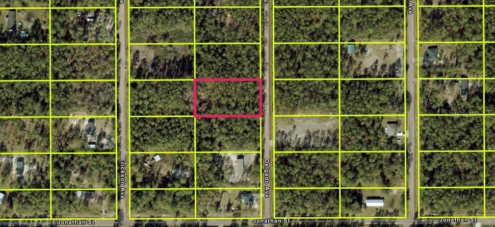 10705 Delgado Ave., Hastings, FL 32145