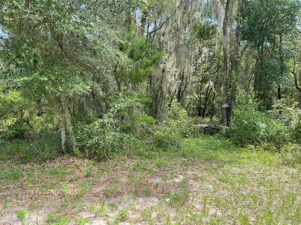 LOTS 15 & 16 SW Shorewood Dr., Dunnellon, FL 34431