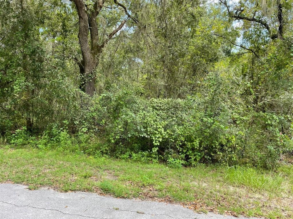 LOTS 13 & 14 SW Shorewood Dr., Dunnellon, FL 34431