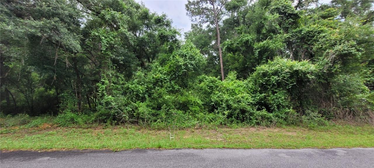 9120 N Aruba Drive, Citrus Springs, FL 34434