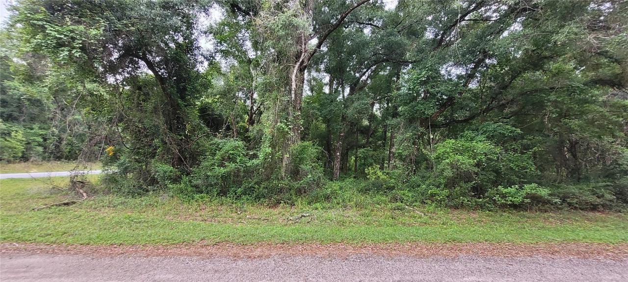 9116 N Danube Loop, Citrus Springs, FL 34434