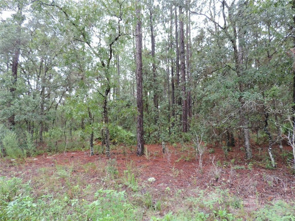TBD SW 135th Terrace Rd., Dunnellon, FL 34432