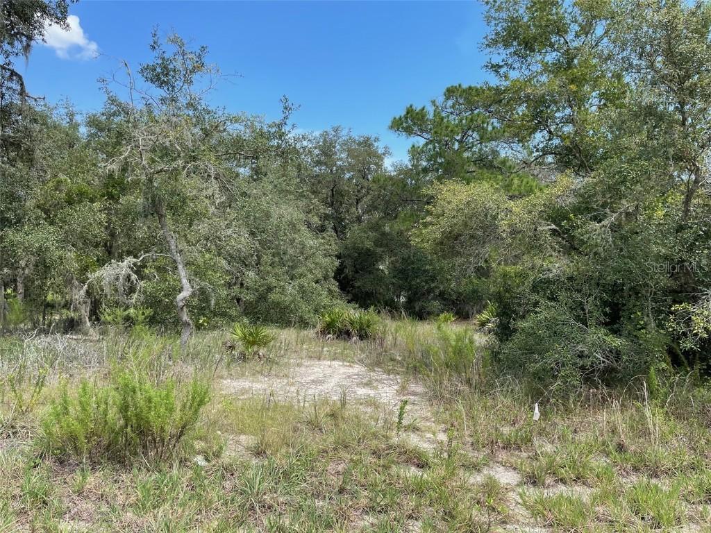 LOTS 462 & 463 SW Shorewood Dr., Dunnellon, FL 34431