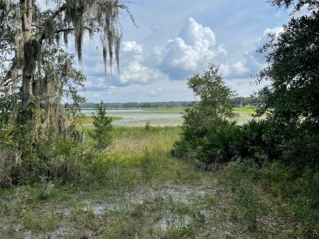 LOTS 462 & 463 SW Shorewood Dr., Dunnellon, FL 34431