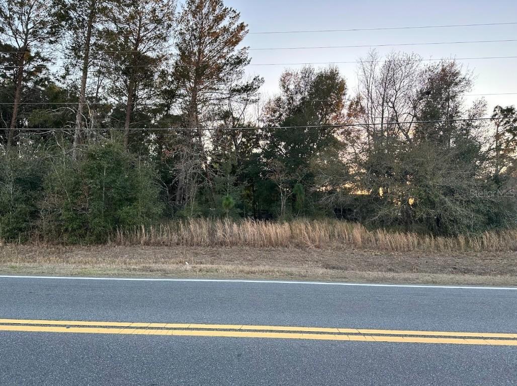 LOT 1 Dogwood Drive Cir., Ocala, FL 34472