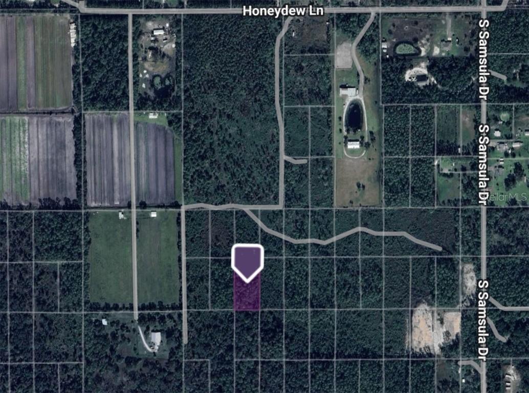 TBD County Road, New Smyrna Beach, FL 32168