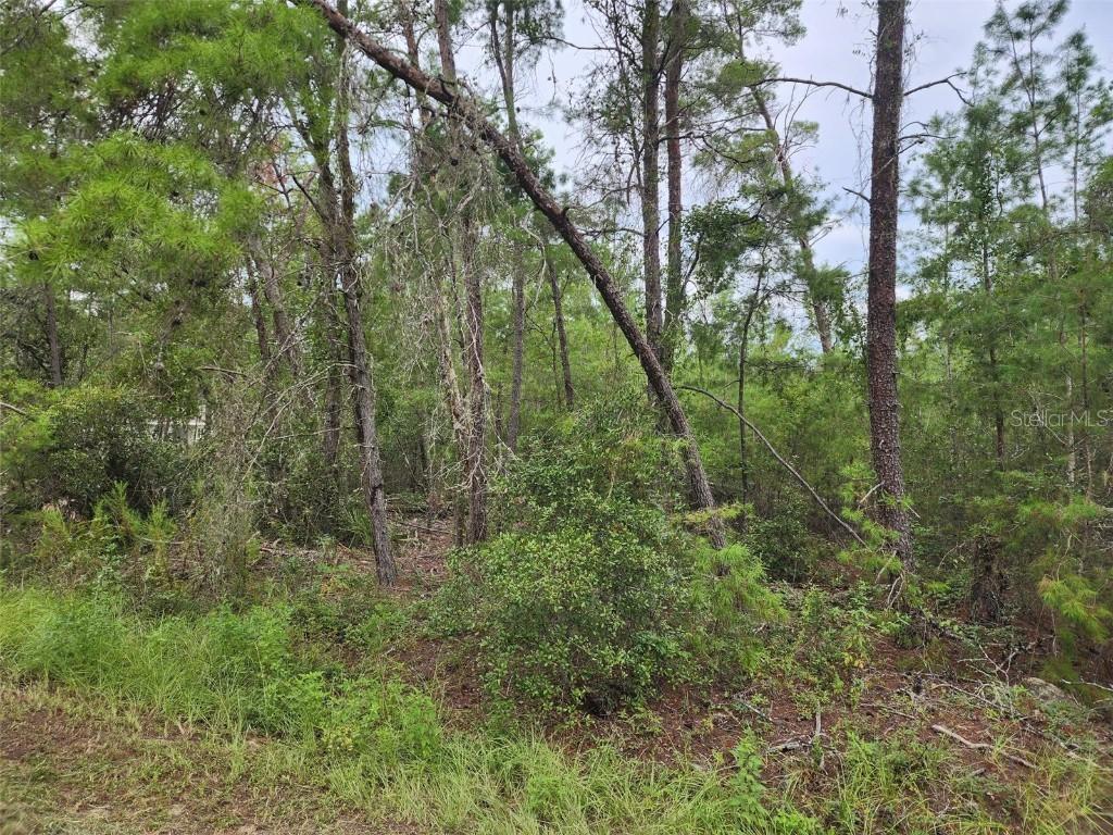 Fischer Ct., Ocala, FL 34472