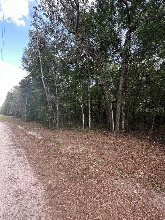 TBD NE 234th Pl., Fort Mc Coy, FL 32134