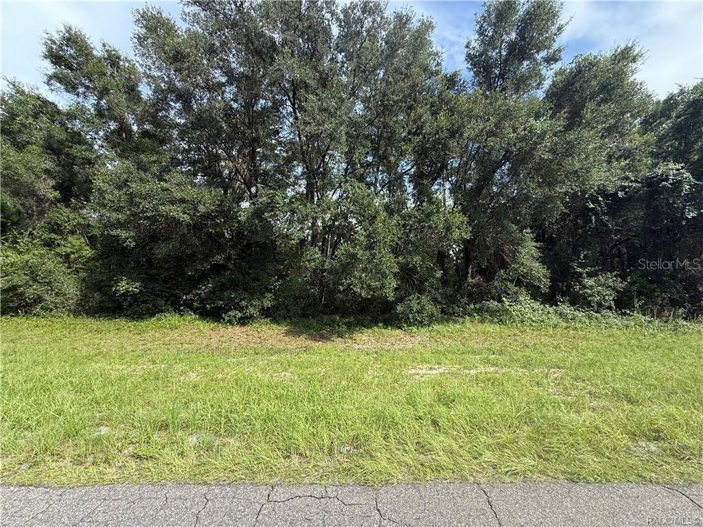 [Address Hidden by Seller], Citrus Springs, FL 34434