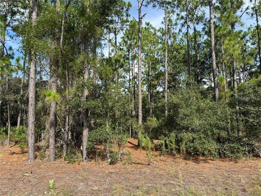 [Address Hidden by Seller], Citrus Springs, FL 34433