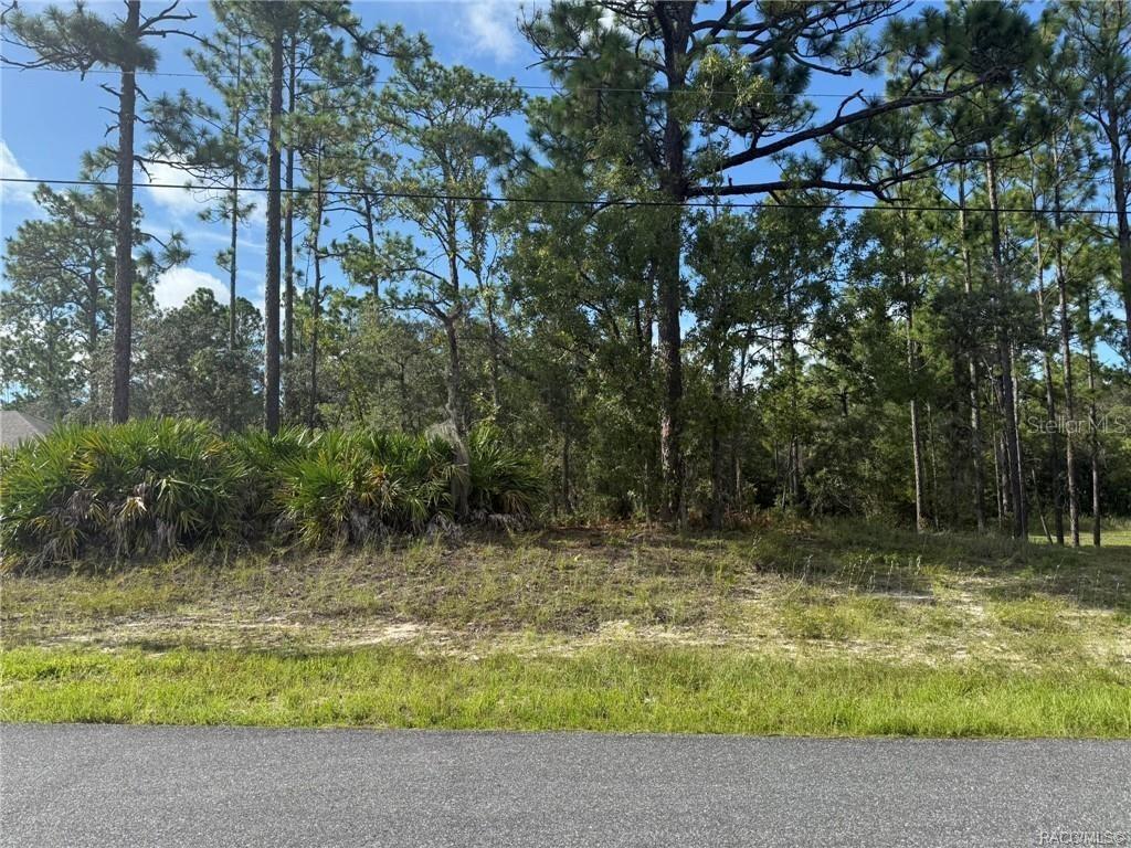[Address Hidden by Seller], Dunnellon, FL 34434
