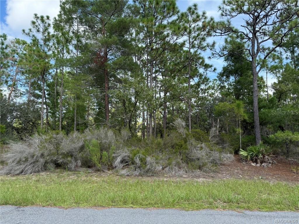 [Address Hidden by Seller], Citrus Springs, FL 34433