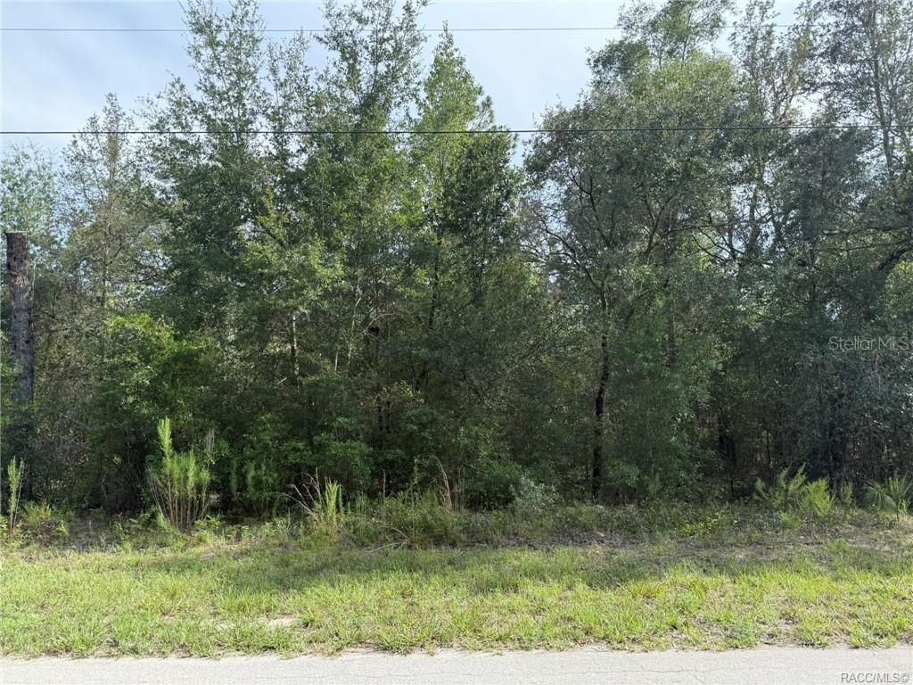 [Address Hidden by Seller], Citrus Springs, FL 34434