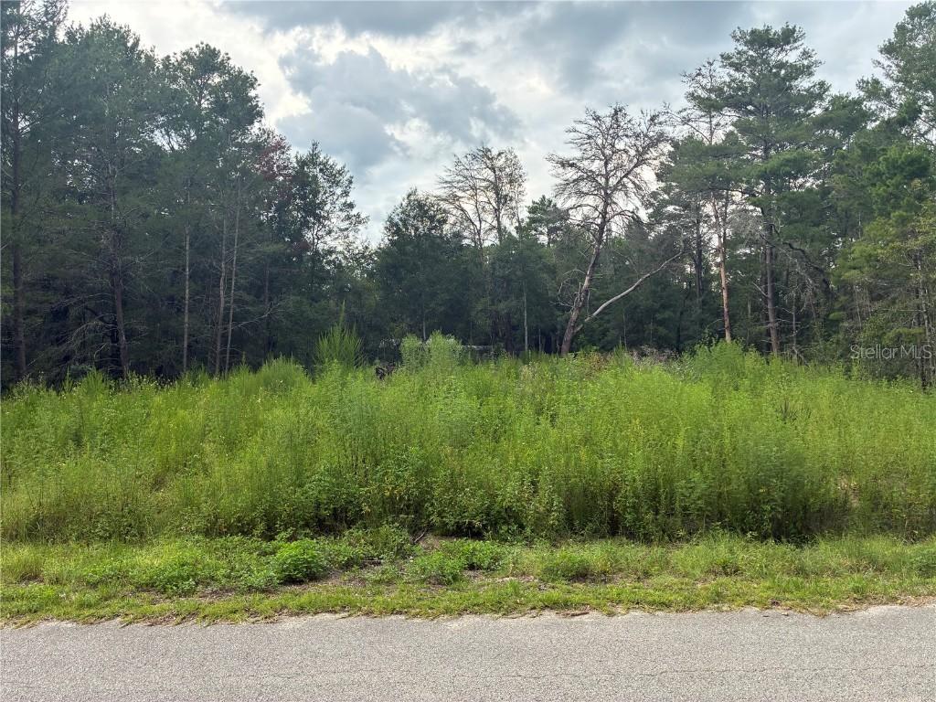 Moines Ct., Dunnellon, FL 34434
