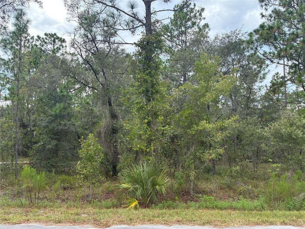 Redwing Rd., Dunnellon, FL 34430