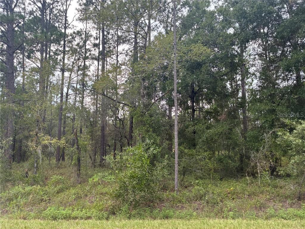 NW Redwood, Dunnellon, FL 34430